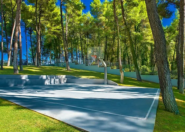 The White At Sani Sani (Chalkidiki)